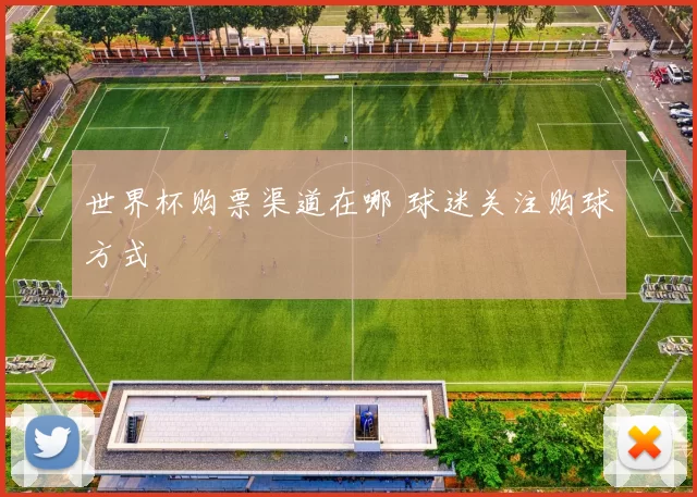 世界杯购票渠道在哪 球迷关注购球方式
