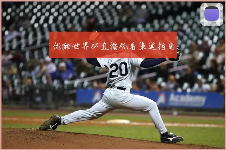 优酷世界杯直播观看渠道指南
