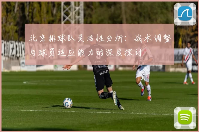 北京排球队灵活性分析:战术调整与球员适应能力的深度探讨