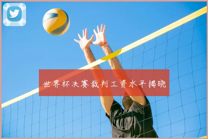 世界杯决赛裁判工资水平揭晓