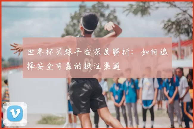 世界杯买球平台深度解析:如何选择安全可靠的投注渠道