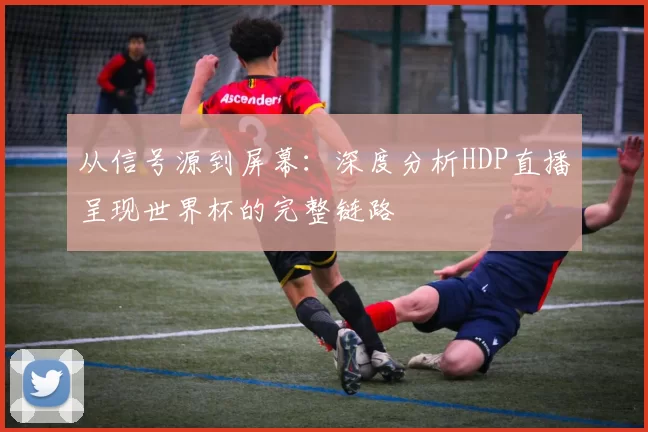 从信号源到屏幕:深度分析HDP直播呈现世界杯的完整链路