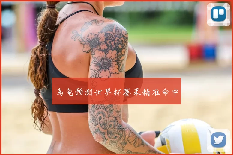 乌龟预测世界杯赛果精准命中