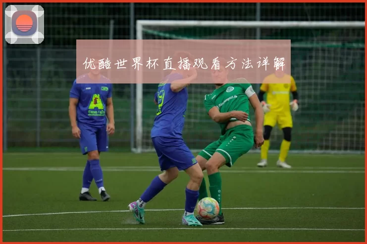 优酷世界杯直播观看方法详解