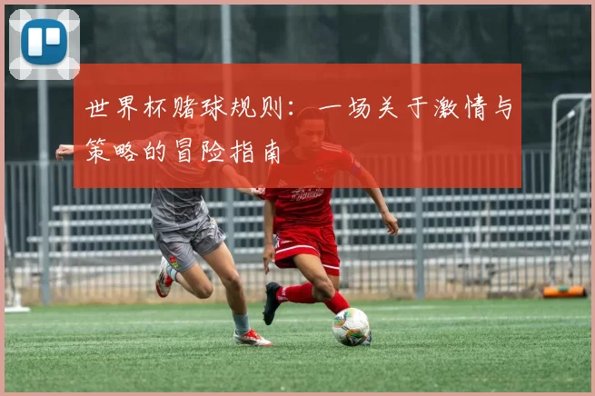 世界杯赌球规则：一场关于激情与策略的冒险指南