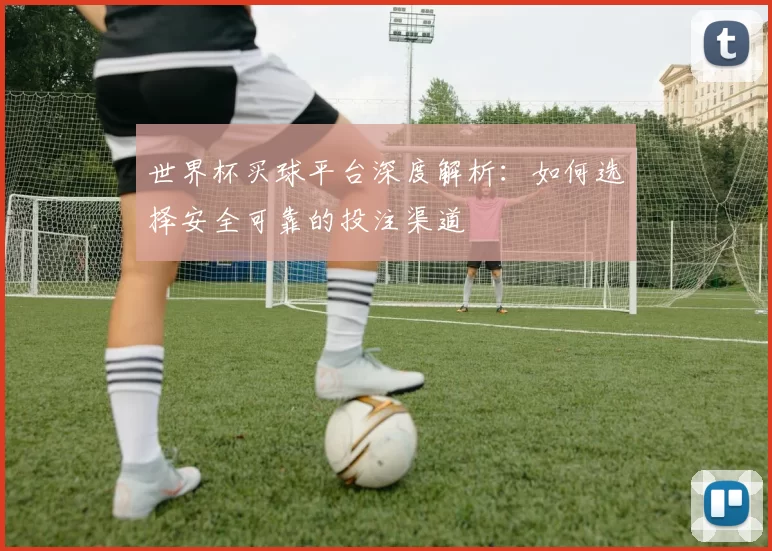 世界杯买球平台深度解析：如何选择安全可靠的投注渠道