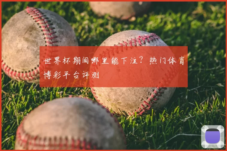 世界杯期间哪里能下注？热门体育博彩平台评测