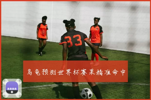 乌龟预测世界杯赛果精准命中