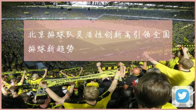 北京排球队灵活性创新高引领全国排球新趋势