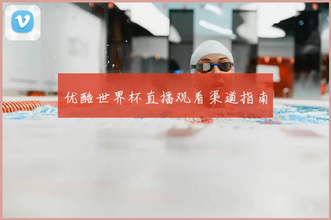 优酷世界杯直播观看渠道指南