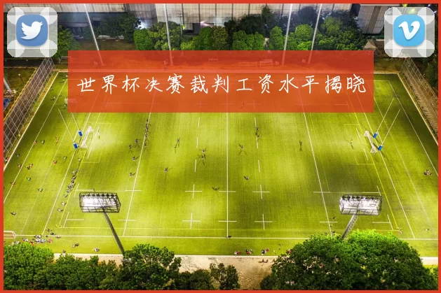 世界杯决赛裁判工资水平揭晓