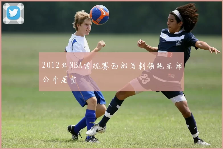 2012年NBA常规赛西部马刺领跑东部公牛居首