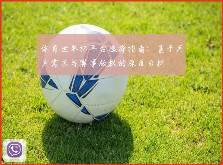 体育世界杯平台选择指南：基于用户需求与赛事版权的深度分析