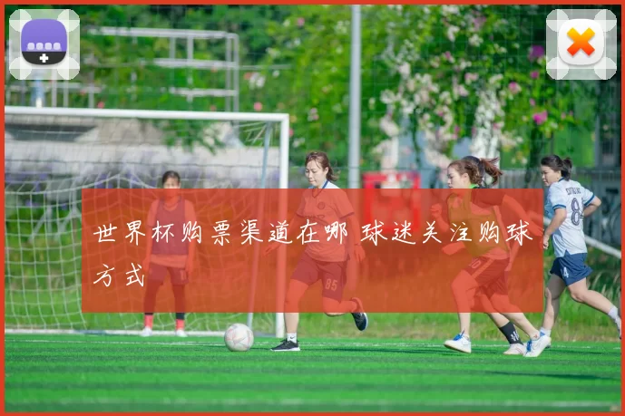世界杯购票渠道在哪 球迷关注购球方式
